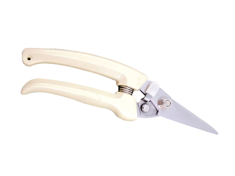 IVORY HANDLE BRANCH SCISSORS STRAIGHT MOUTH